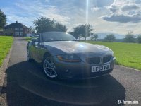 IMG_1008.jpeg