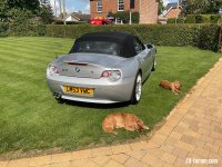IMG_0299.jpeg