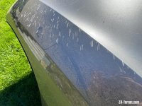 IMG_0873.jpeg