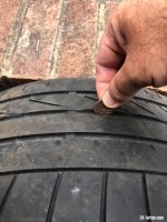 IMG_0500.jpeg