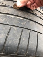 IMG_0506.jpeg