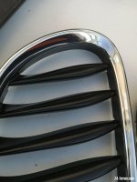 IMG_20230923_091705.jpg
