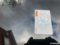 IMG_7295.jpeg