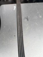 IMG_5407.jpeg IMG_5407.jpeg
