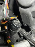 IMG_4354.jpeg