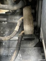 IMG_5416.jpeg
