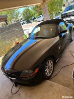 IMG_1616.jpeg