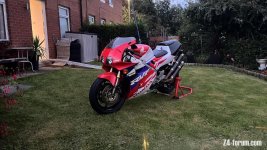 IMG_4105.jpeg