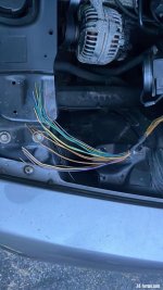 IMG_8272.jpeg IMG_8272.jpeg