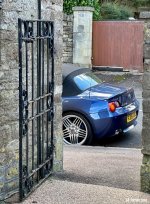 IMG_2251.jpeg