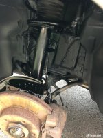 IMG_8239.jpeg IMG_8239.jpeg