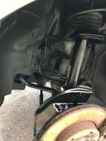 IMG_8240.jpeg IMG_8240.jpeg