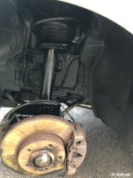 IMG_8238.jpeg IMG_8238.jpeg