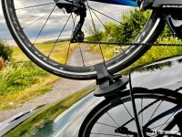 IMG_1162.jpeg