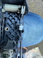 IMG_5556.jpeg IMG_5556.jpeg