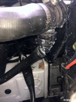 IMG_1637.jpeg IMG_1637.jpeg