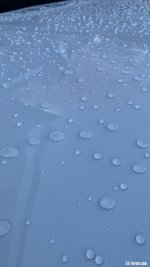 AA2AD324-8A42-4381-8DEC-37883F580A89.jpeg