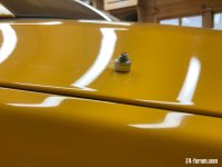 IMG_2205.jpeg