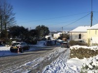 IMG_3550.jpeg