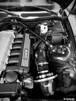 IMG_9347.jpeg IMG_9347.jpeg