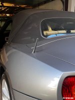 IMG_6413.jpeg