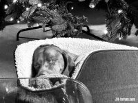 IMG_2766.jpeg