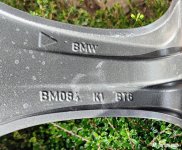 Pirelli rear 1.jpg