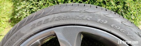 Pirelli rear 6.jpg
