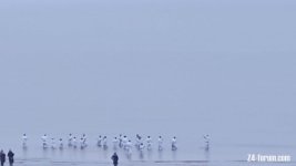 20240114_075620.jpg