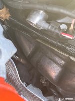 IMG_0110.jpeg
