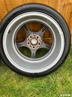 IMG_8736.jpeg