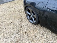 IMG_8729.jpeg IMG_8729.jpeg