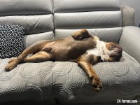 IMG_0927.jpeg