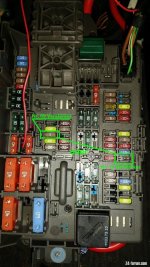20180601_144110_E89-Robbi-4 sm.jpg