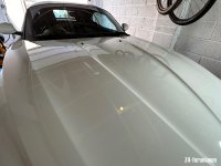 IMG_3387.jpeg IMG_3387.jpeg