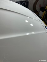 IMG_3365.jpeg IMG_3365.jpeg