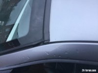 IMG_0241.jpeg IMG_0241.jpeg