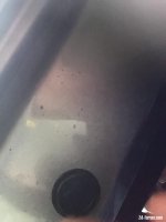 IMG_0237.jpeg IMG_0237.jpeg