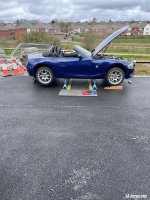 IMG_3467.jpeg IMG_3467.jpeg