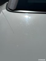 IMG_3507.jpeg IMG_3507.jpeg