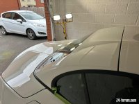 IMG_3528.jpeg IMG_3528.jpeg