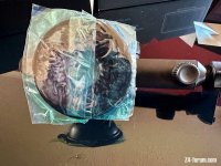 IMG_6592.jpeg