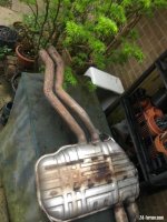 IMG_9898.jpeg