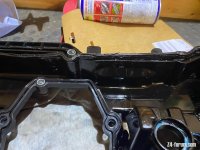 IMG_6423.jpeg