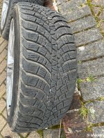 IMG_6581.jpeg