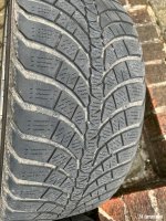 IMG_6582.jpeg