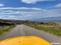 IMG_7888.jpeg