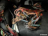 IMG_9800.jpeg