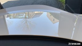 IMG_5845.jpeg