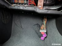 IMG_1174.jpeg